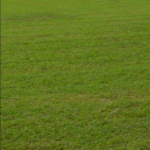 Meet your Posher, Avery